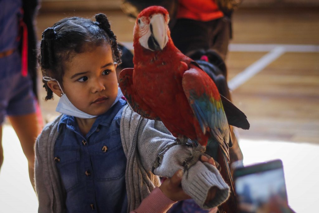 Día del Niño en Chile