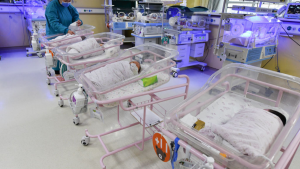 Desde BSB a Romané: Los nombres más populares entre 1920 y 2020