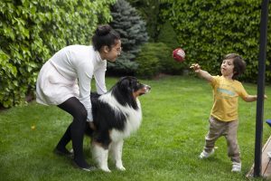 Las 5 mejores razas de perros para niños