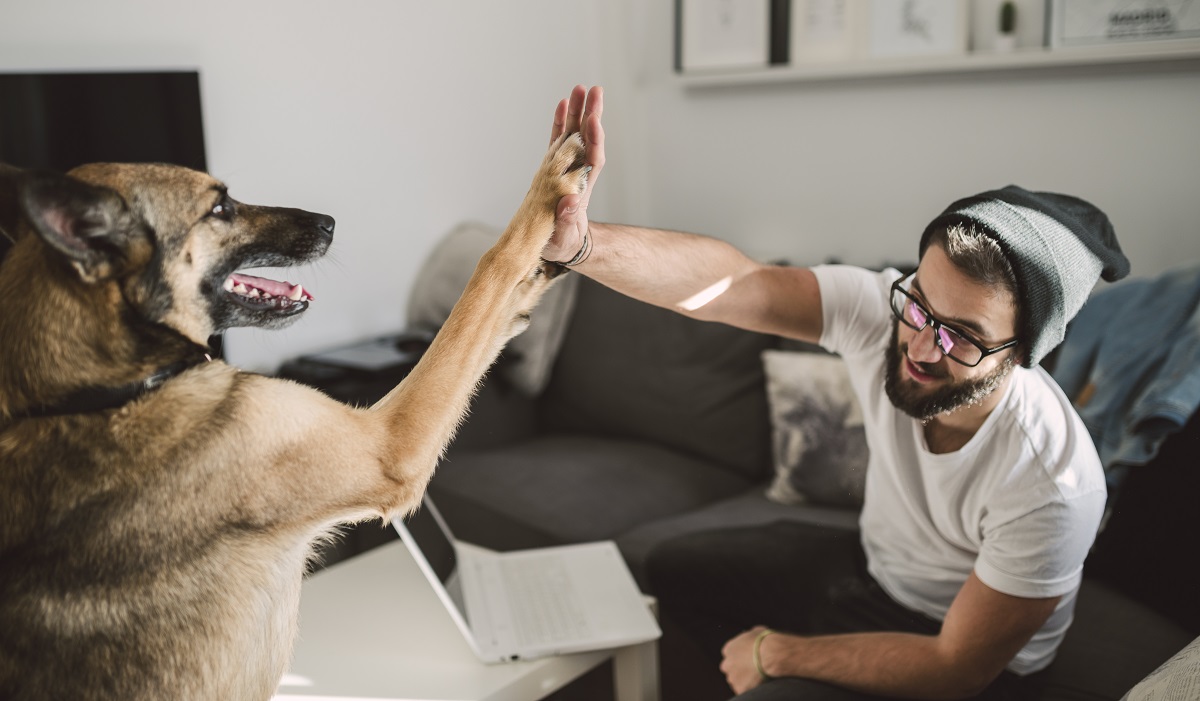 hablarle a las mascotas es signo de inteligencia
