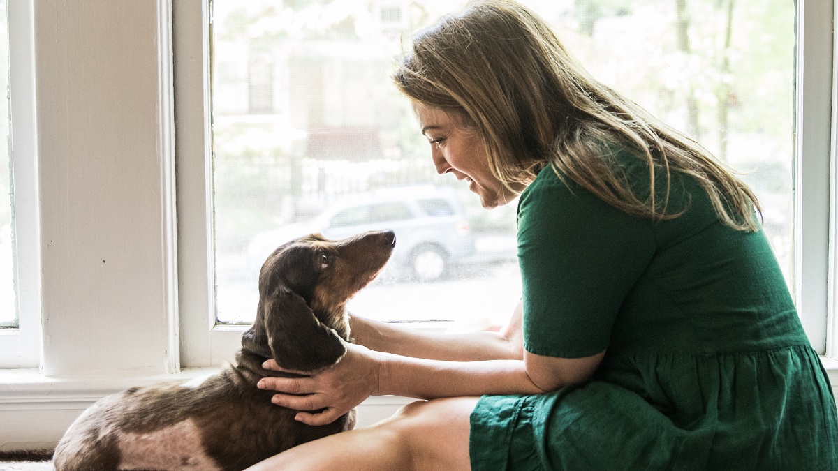 Hablarle a tus mascotas sería signo de inteligencia: ¡No estás loco!