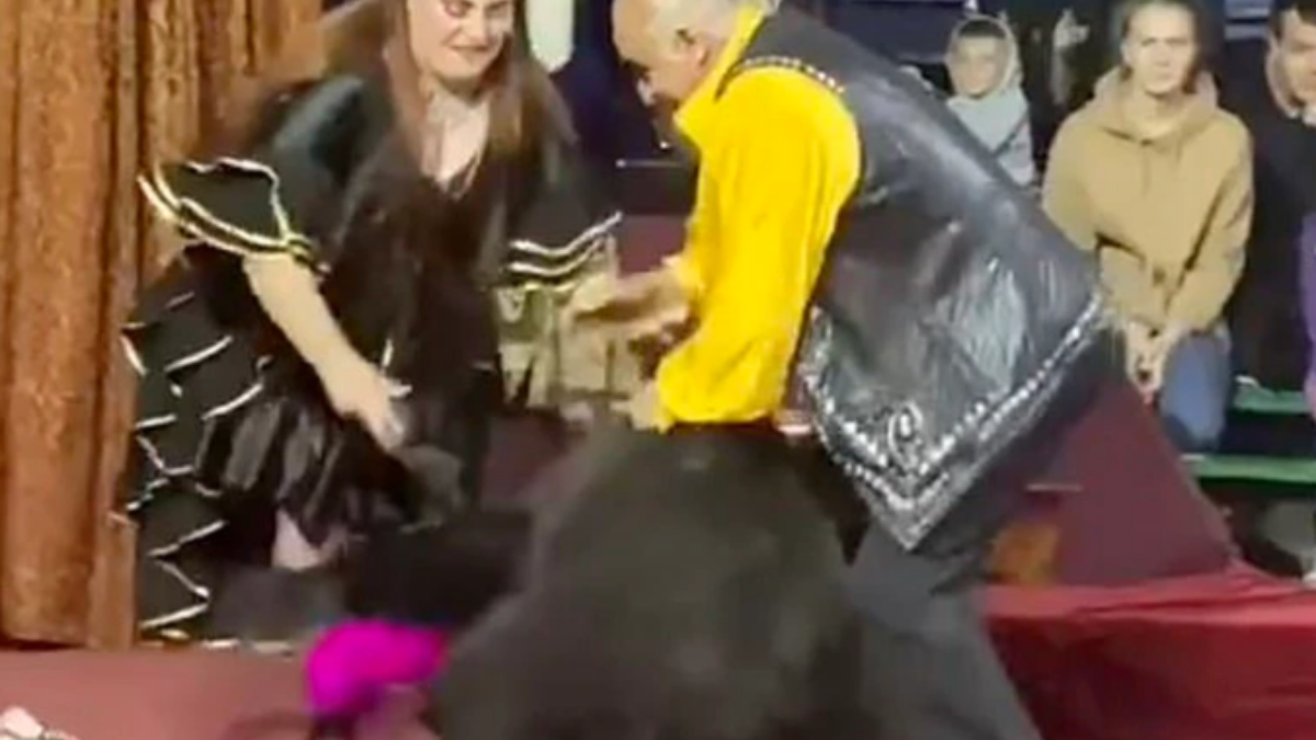 Oso pardo ataca a su entrenadora circense en medio de show infantil