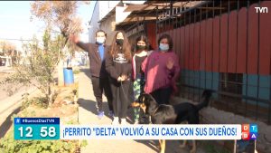 ¡Tenía dueña! Perrito del "Buenos Días a Todos" se reencontró con su familia