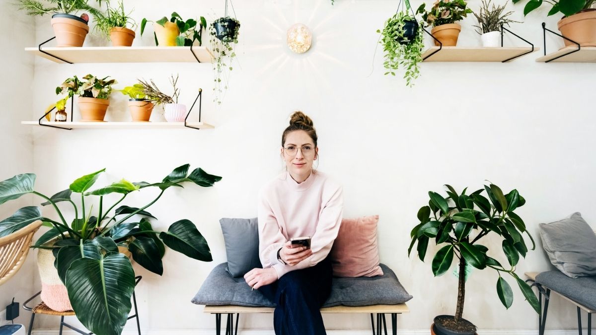 5 plantas que te ayudan a disminuir el estrés del teletrabajo