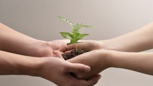 "Eco-ansiedad": Conoce de qué trata el nuevo trastorno psicológico