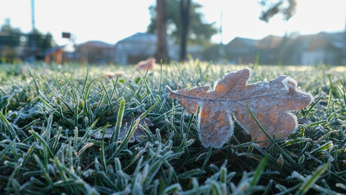 Pronostican heladas entre Coquimbo y Los Lagos: Las temperaturas bajarían de los 0 °C