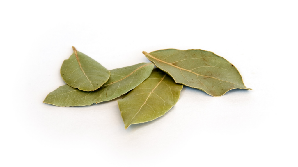 Hojas Secas De Laurel