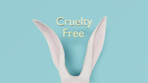 ONG chilena cumple 9 años y los conmemora con una campaña de donación