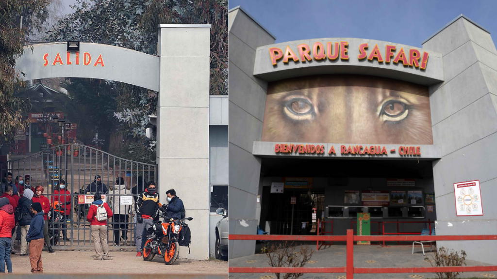 Suspensión Parque Safari