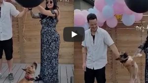 Viral en YouTube: un perro arruinó una fiesta de revelación de género