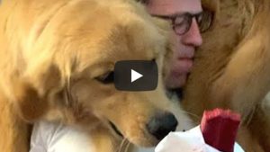 Un perro es viral en YouTube por intentar robarle el helado a su dueño