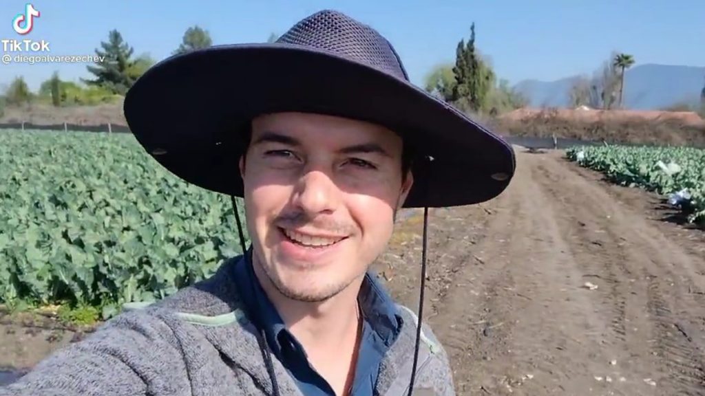 Usuario Viral De TikTok