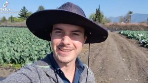 Usuario de TikTok en Chile es viral por confundir el brócoli con la coliflor