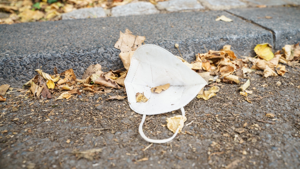 Fiestas Patrias Medio Ambiente 