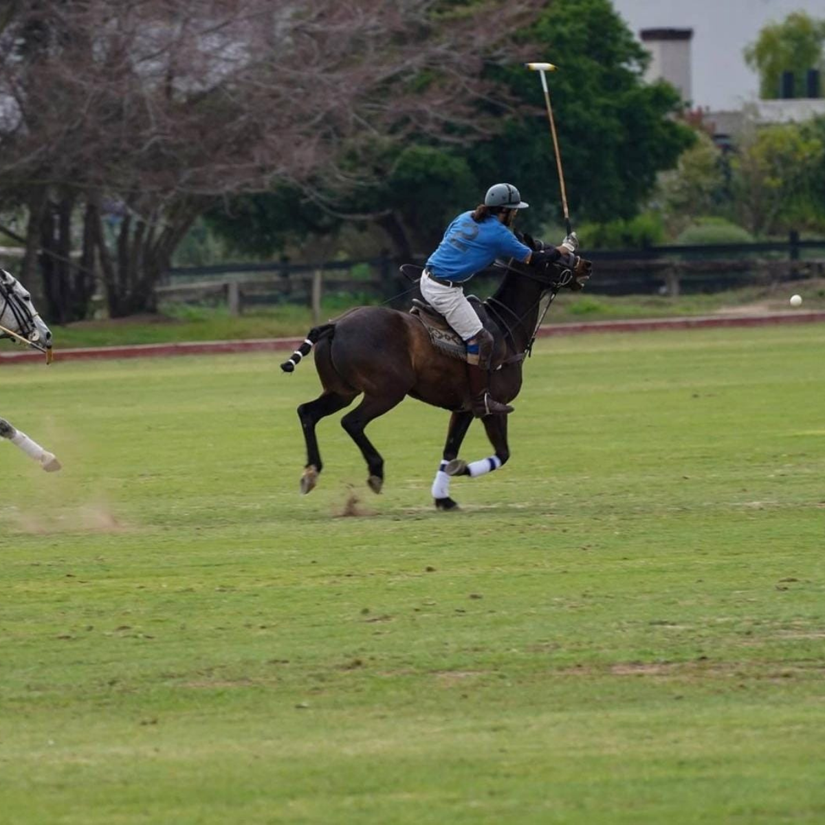 Matías Assler Polo (3)