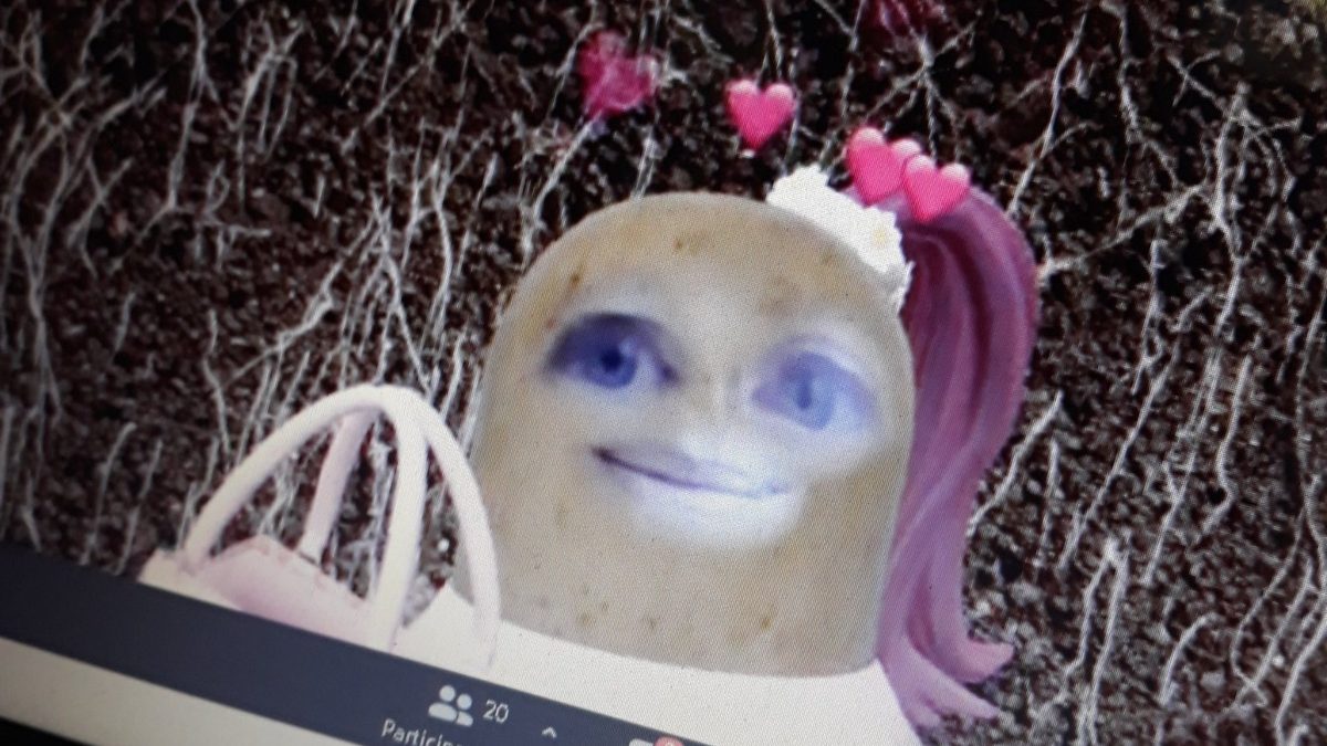 Profesora da clases con filtro que la hace ver como papa y se vuelve viral