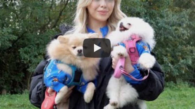 Modelo Es Viral En Video Con Sus Perros