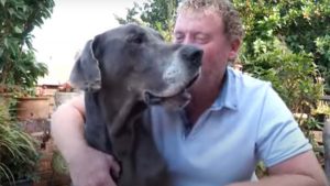 Perro es viral en YouTube por comer cereal y beber té