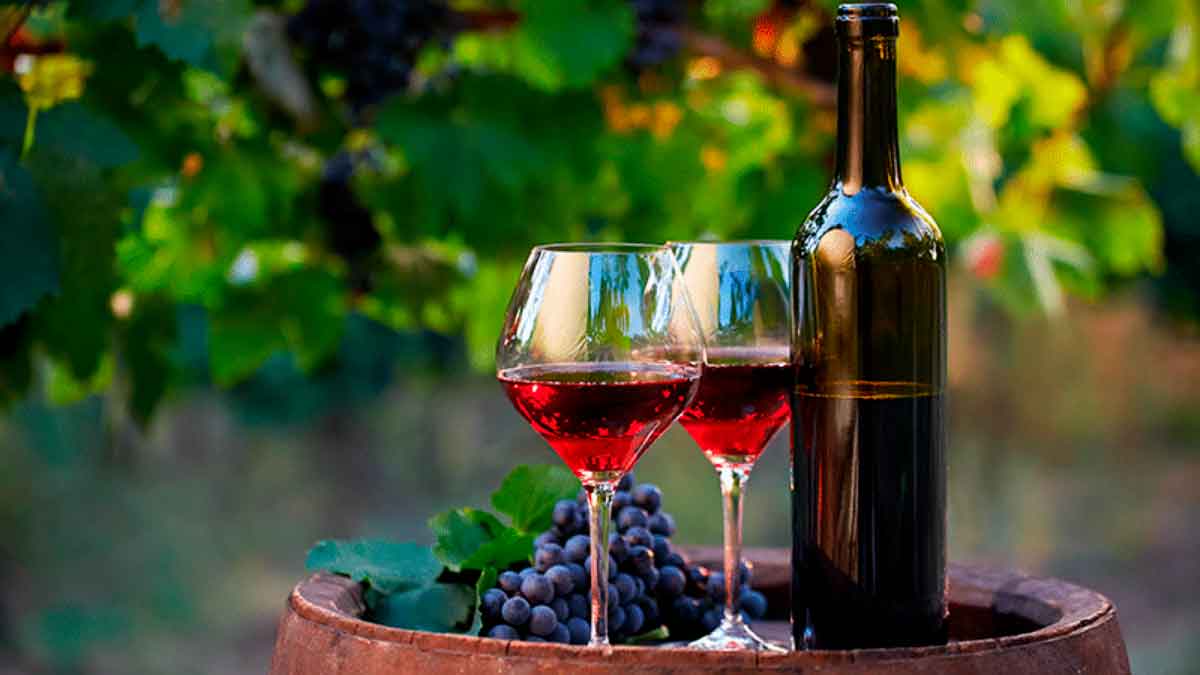 Concurso Cerrado: ! Participa por una entrada a "Copados", el festival que reunirá a los amantes del vino