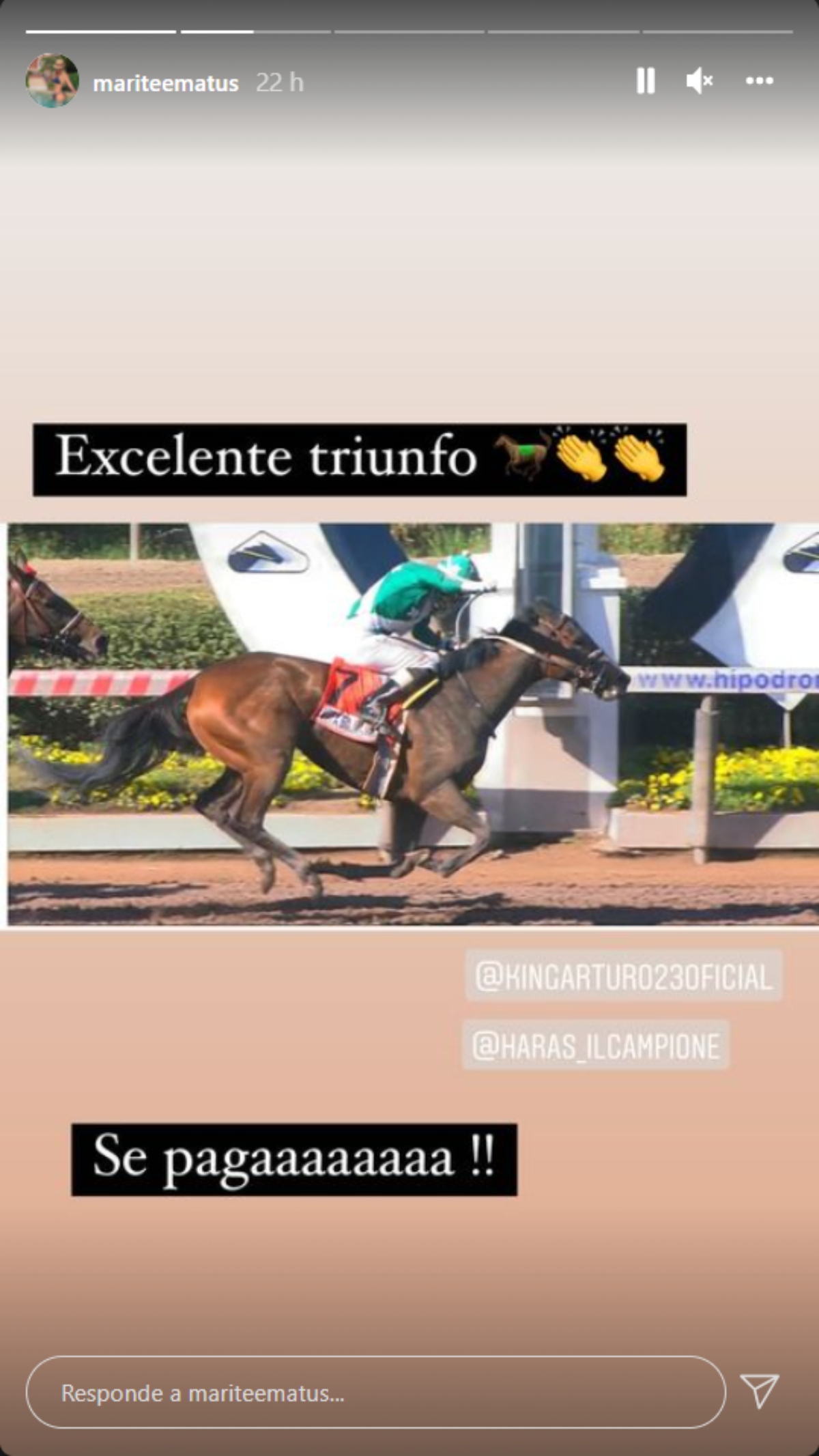 Marité Matus Instagram