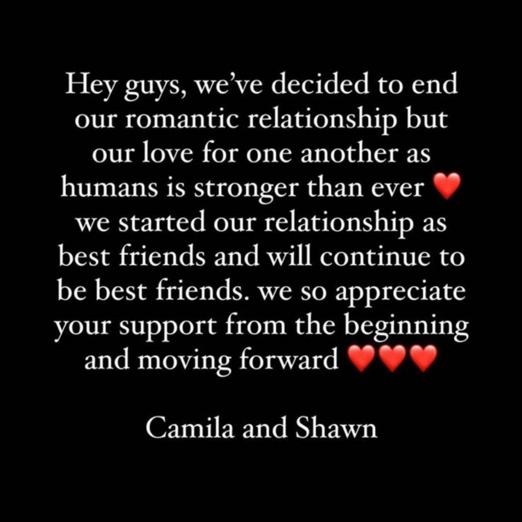 Declaracion Camila Y Shawn