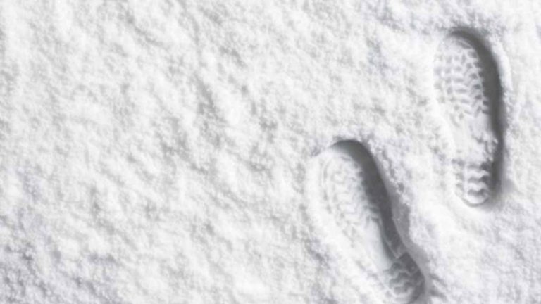 Soñar con la nieve: ¿Cuáles son sus significados?