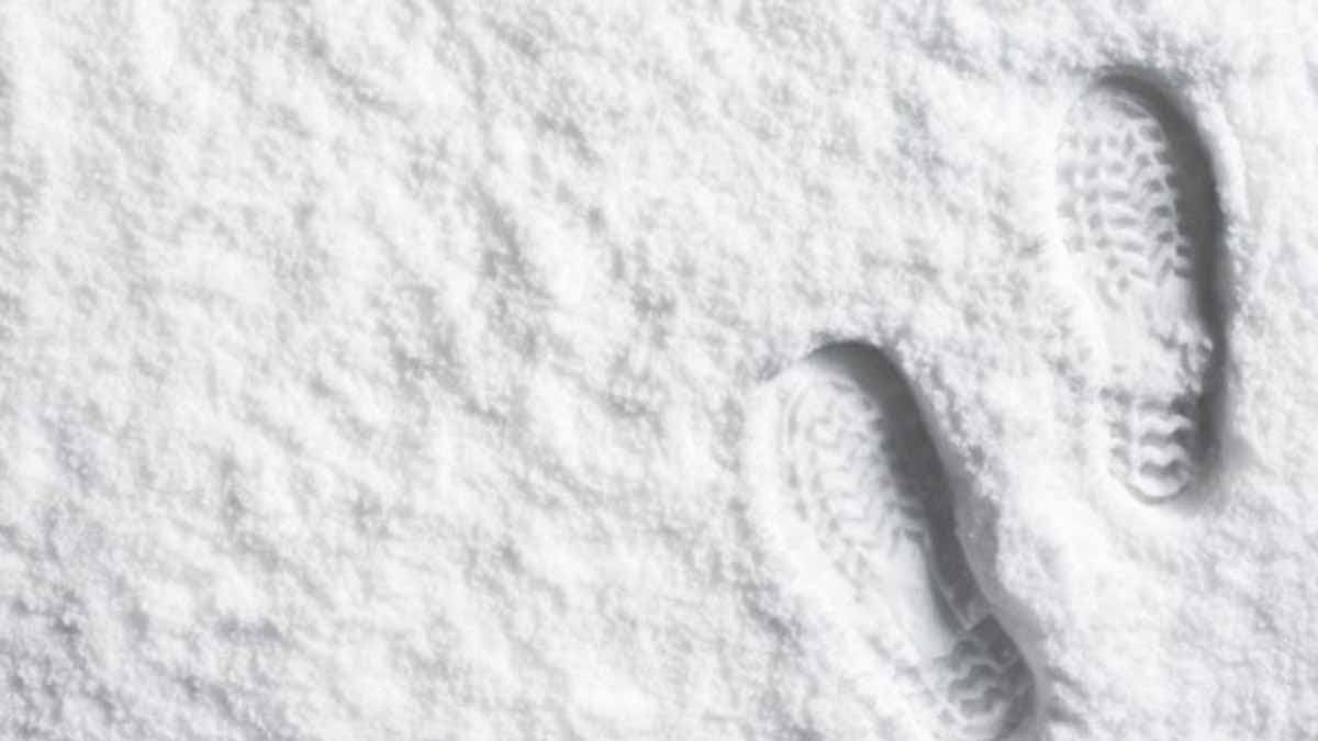 Soñar con la nieve: ¿Cuáles son sus significados?