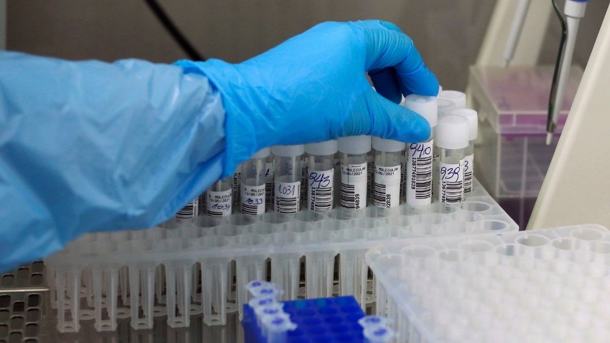 Plan Fronteras Protegidas sufre modificaciones por la variante Ómicron