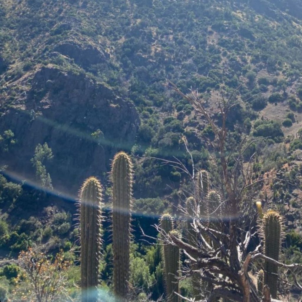 Tonka En El Cerro