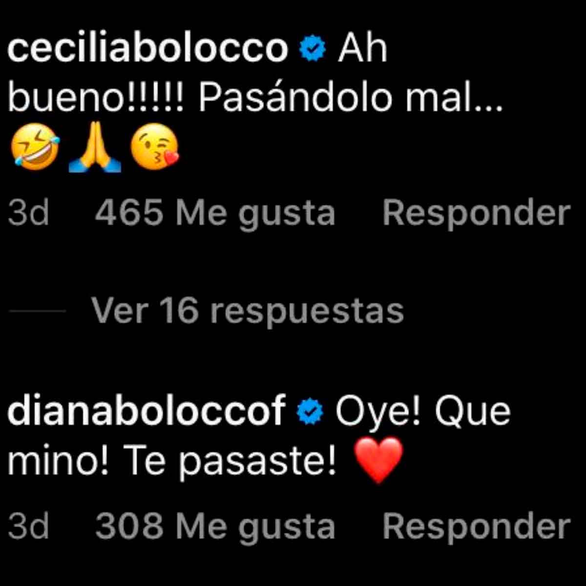 Maximo Menem Cecilia Bolocco 1