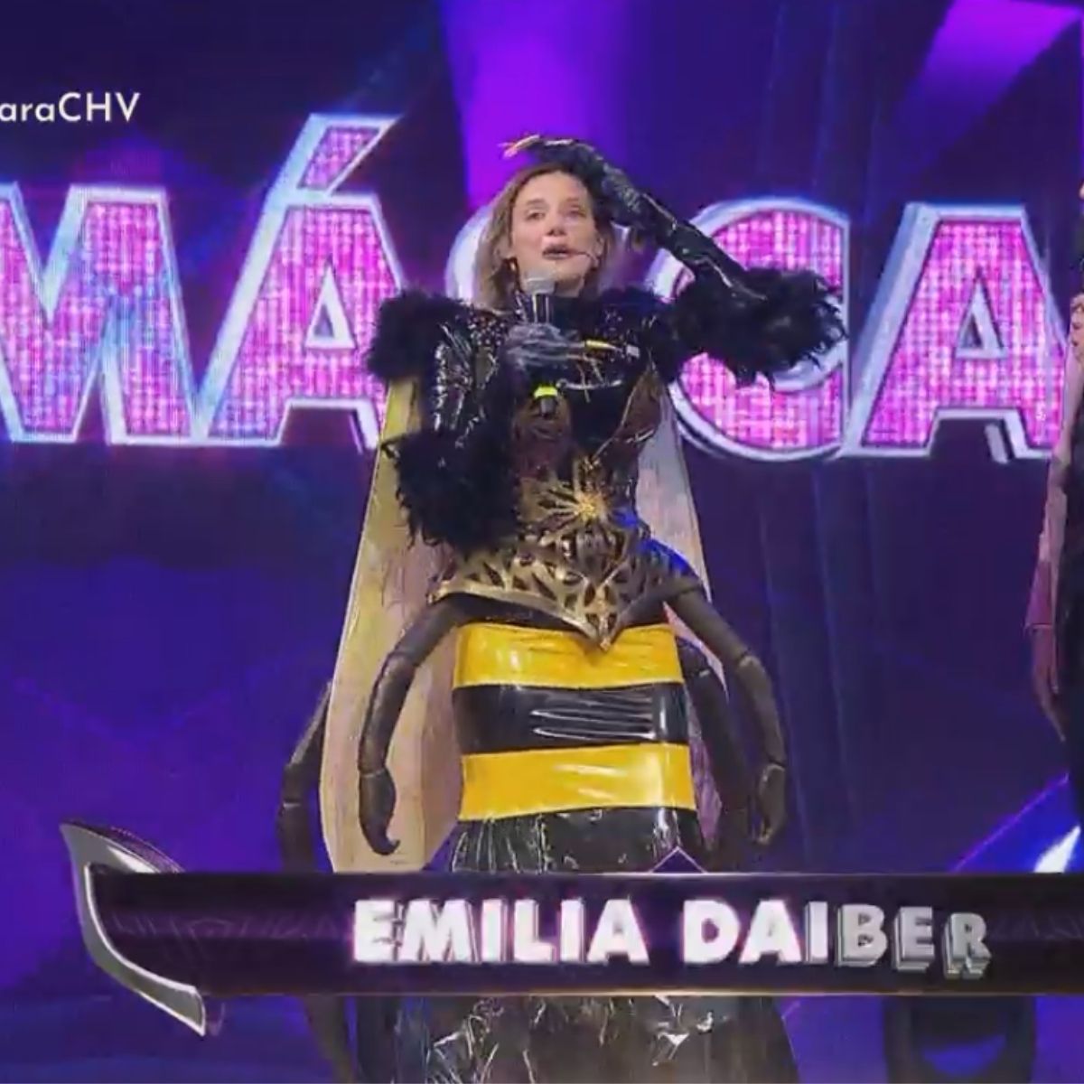Quien Es La Mascara Emilia Daiber (1)