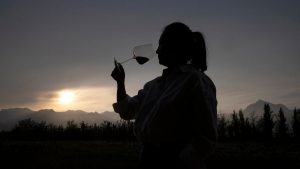 ¡Concurso FMDOS! Gana una caja de 3 vinos B-Live 100% veganos