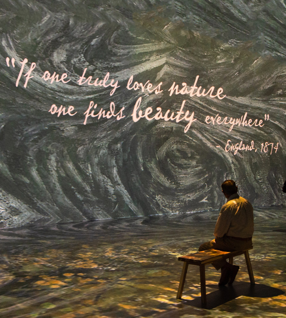 Exposición Vincent Van Gogh (2)