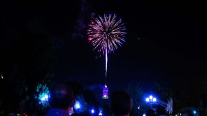 Municipalidad De Curanilahue 