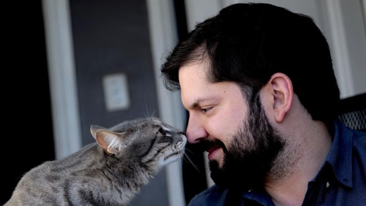 Conoce a Bulu, el gatito de Irina Karamanos que acompaña a Gabriel Boric