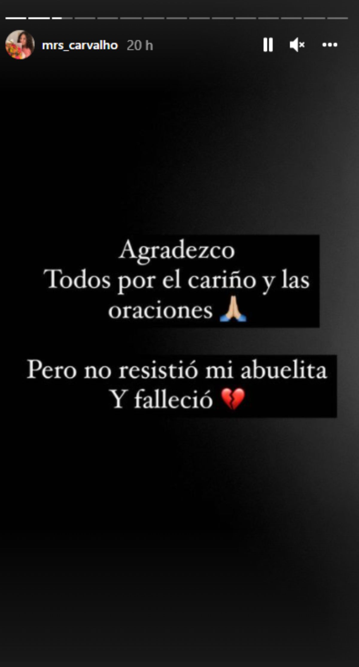 Michelle Carvalho Perdida 