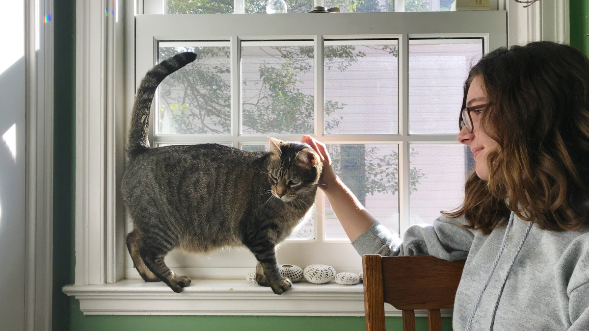 Encuesta Nacional de Mascotas