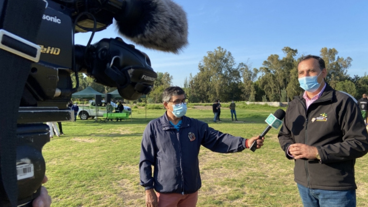 Municipalidad De Peñaflor