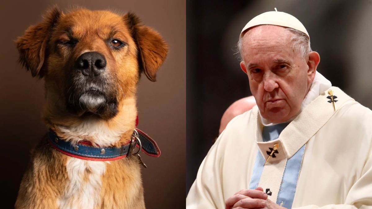 Ladró fuerte: Brownie, el Perro Presidencial, criticó dichos del Papa Francisco