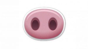 Emoji de WhatsApp: el significado oculto del hocico de chancho