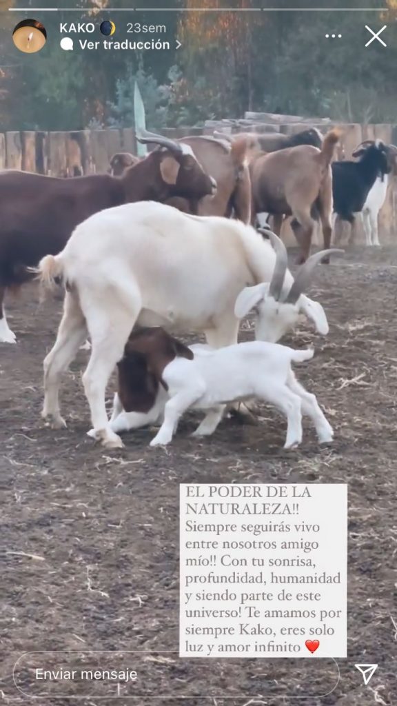 Angélica Castro Kako Calquín (2)