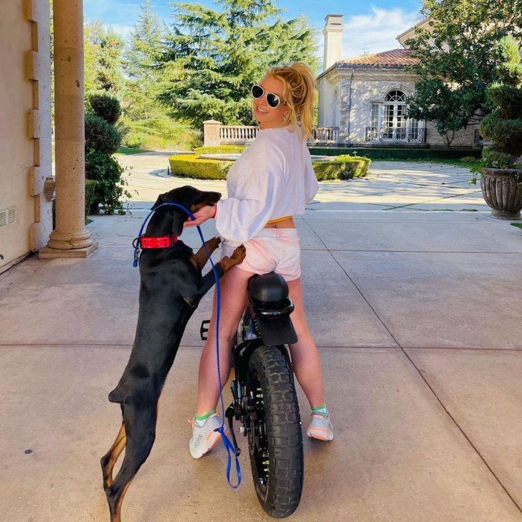 Britney Spears Y Su Mascota