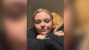 Gato es viral en YouTube por posar como un sombrero