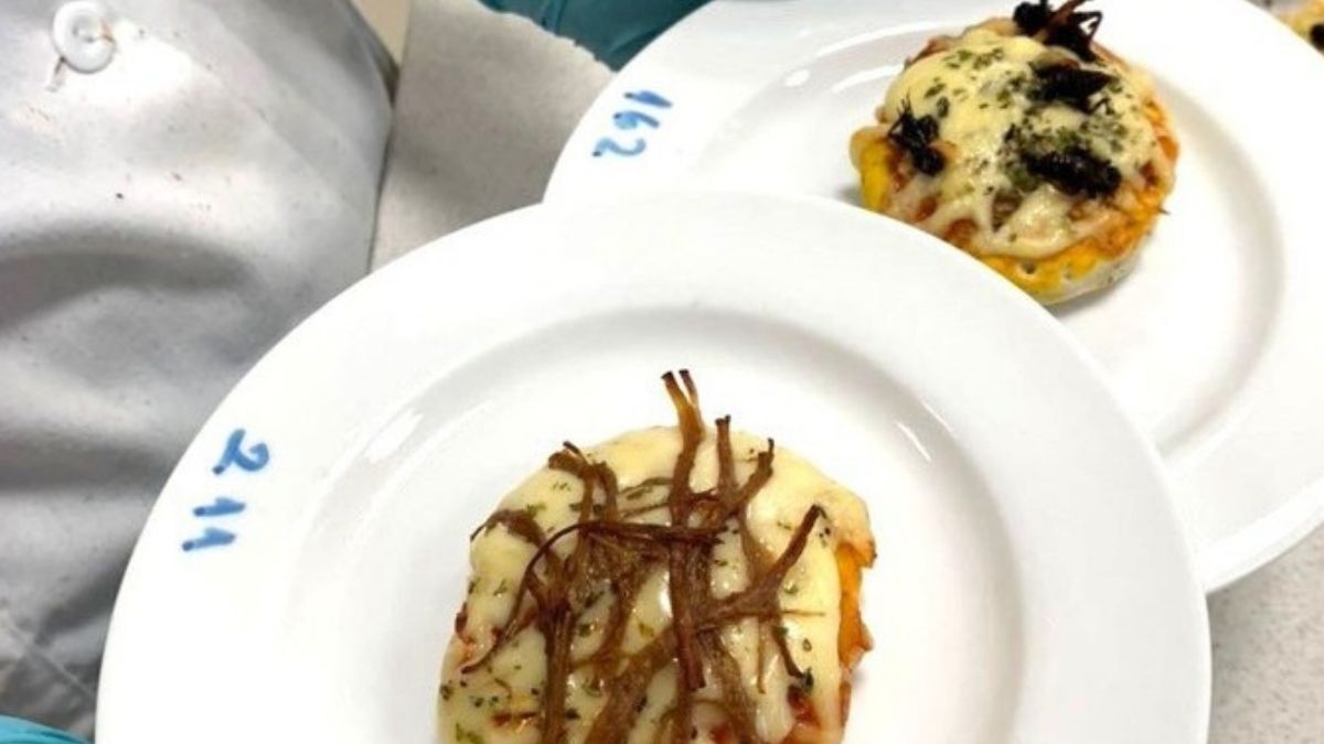 ¿Te atreves a probarla? Científicos chilenos crean una pizza que tiene como ingrediente principal grillos