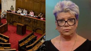 "Me provocan asco": Patricia Maldonado se fue en picada contra la Convención Constitucional
