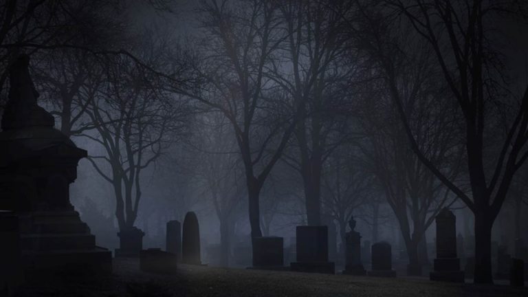 Cementerio De Noche