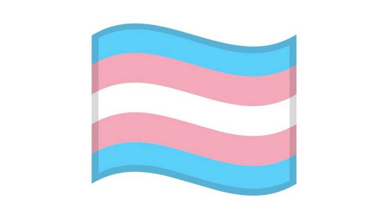 Emoji Bandera Trans