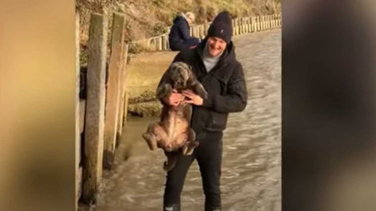 Perro nadando fuera del agua se volvió viral en YouTube