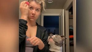 Perro es viral en YouTube por ser fan del maquillaje