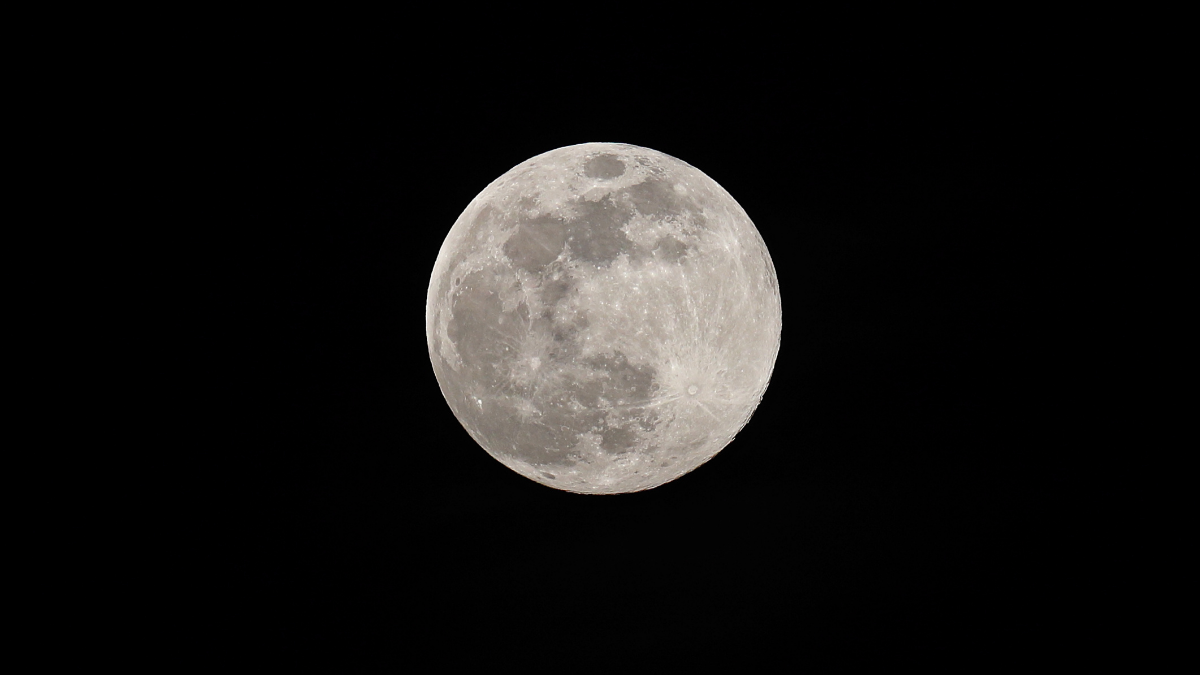 Luna De Gusano